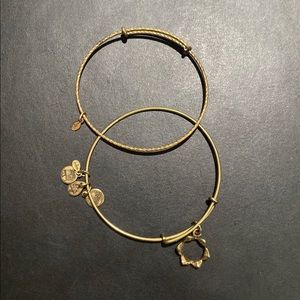 Alex and Ani Crown